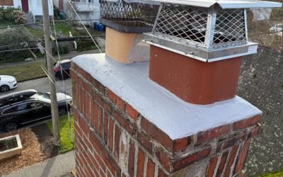 WhatsApp Image 2025-11-12 at 02.28.53 (1) WhatsApp Image 2025-11-12 at 02.28.53 (1)